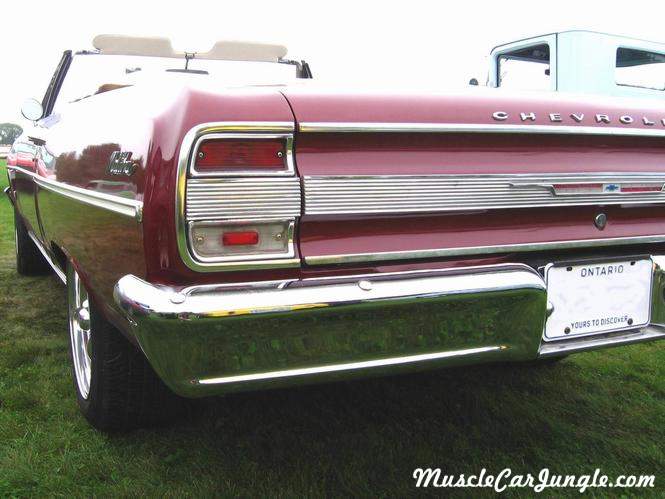 1964 Chevelle Malibu Rear