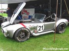 Ford Cobra Pictures