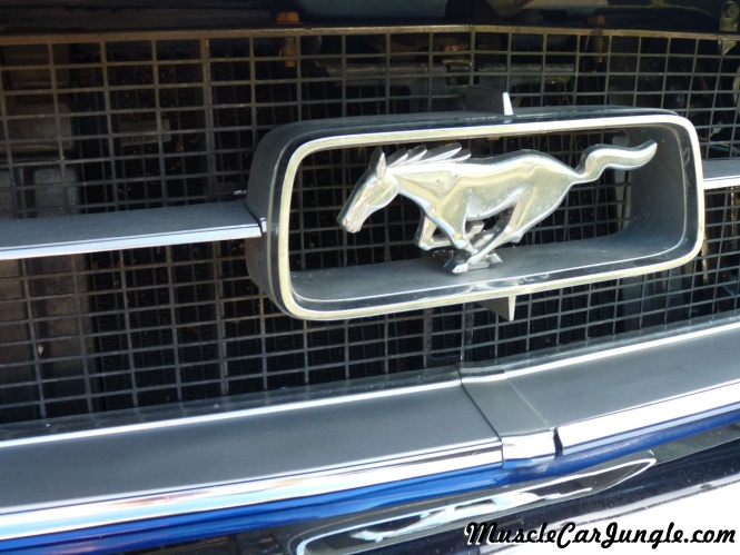 1967 Ford Mustang Notchback Grill Emblem