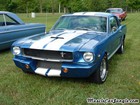 Ford Shelby Mustang Pictures