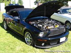 2009 Shelby GT500 Convertible Right Side