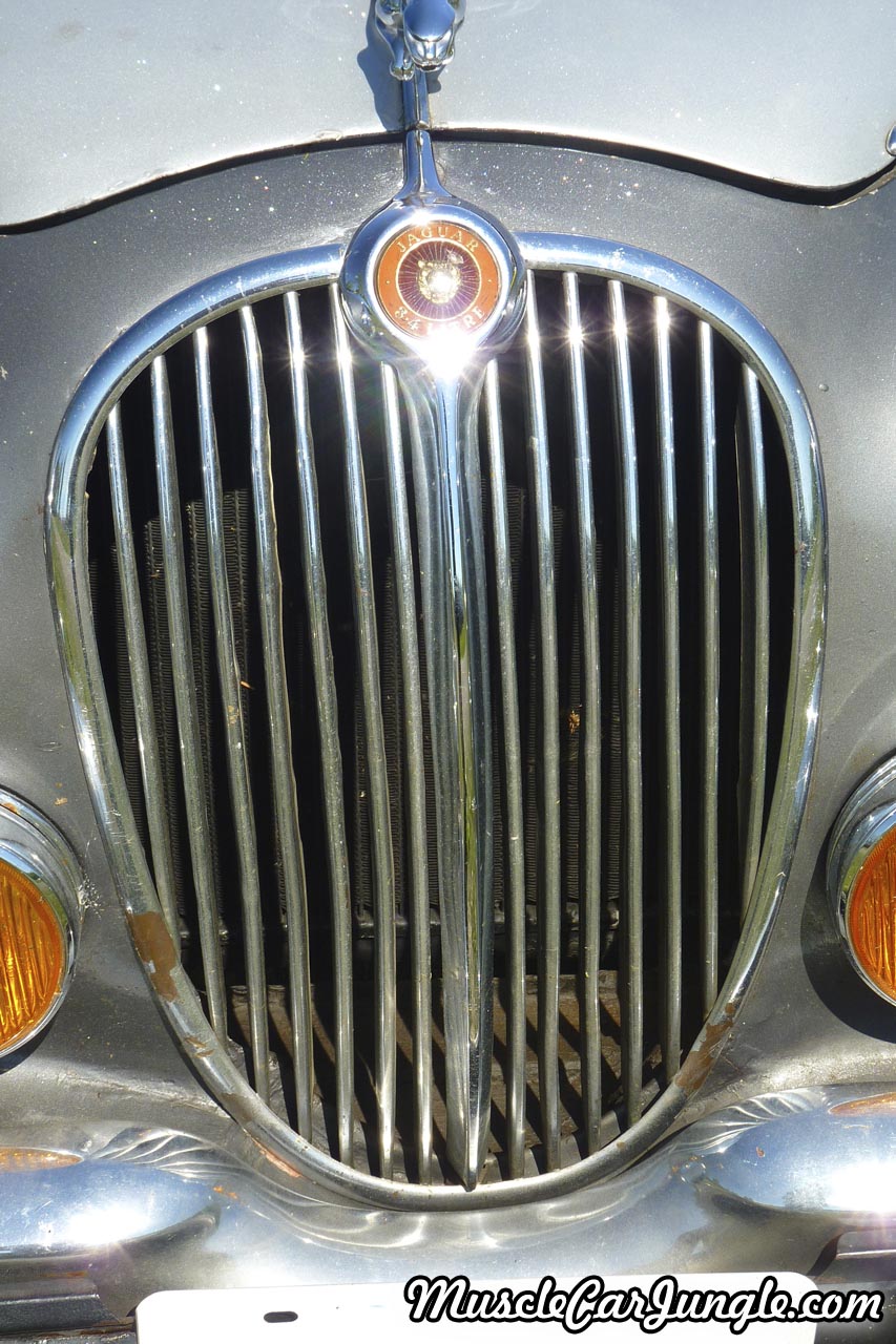 1964 Jaguar 3.4 MK II Grille