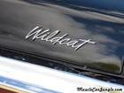 1970 Buick Wildcat Trunk Insignia