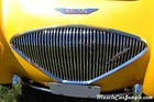 1953 Austin Healy Custom Grill