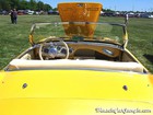 1953 Austin Healy Custom Rear Deck
