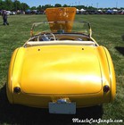 1953 Austin Healy Custom Rear