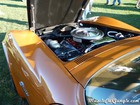 1971 350 Corvette Engine