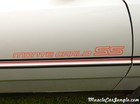 SS Monte Carlo Door Decal SS Monte Carlo Door Decal