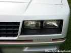 SS Monte Carlo Headlights SS Monte Carlo Headlights