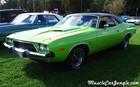 1973 Dodge Challenger Left Side