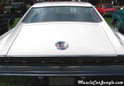 1966 Dodge Charger Rear Deck
