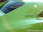 1968 Dodge Charger C Pillar Badge