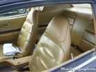 1973 Charger SE Seats