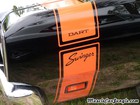 1969 340 Dodge Dart Swinger Trunk Stripe