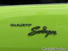 1970 Dodge Dart Swinger Name Plate