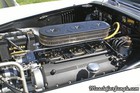 1959 250 GT Pininfarina Coupe V12 Engine