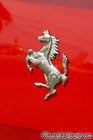 1989 328 GTS Rear Horse Emblem