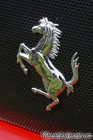 360 Spider F1 Rear Horse Emblem