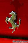 2013 Ferrari 458 Spider Front Horse Emblem