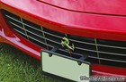 2007 Ferrari 599 GTB Grill