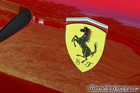 Ferrari 599XX Side Crest