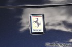 Ferrari FF Front Badge