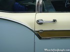 1957 Fairlane 500 Door Trim