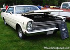 1966 Galaxie 500 289