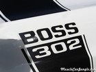 1970 Mustang Boss 302 Decal