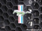 1971 Ford Mustang Front Badge