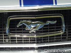 1967 Mustang Custom Grill Emblem