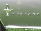 1967 Mustang Fastback Badge