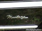1968 Mustang GT Cs Name Plate 1968 Mustang GT Cs Name Plate