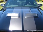 2008 GT500 Shelby Hood