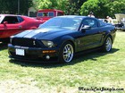 2008 GT500 Shelby