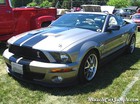 2008 Shelby GT500 Convertible
