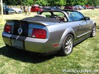 2008 Shelby GT500 Convertible Rear
