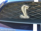 2011 Shelby GT500 Convertible Snake Emblem