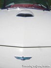 1957 Tbird Hood