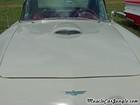 1957 Ford Thunderbird Hood