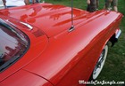 1960 Thunderbird Front Fender