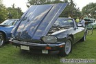 XJS Convertible Pictures