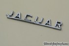 1962 Convertible XK-E Rear Name Plate