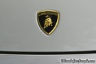 2004 Twin Turbo Gallardo Hood Emblem