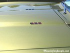 1968 Pontiac Firebird 350 Hood