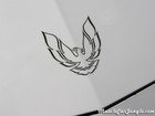 1984 Firebird Decal