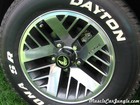 1984 Firebird Wheel