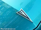 1967 GTO Hood Crest