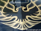 1977 Trans Am TA Bird Decal