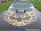 1977 Trans Am TA Hood